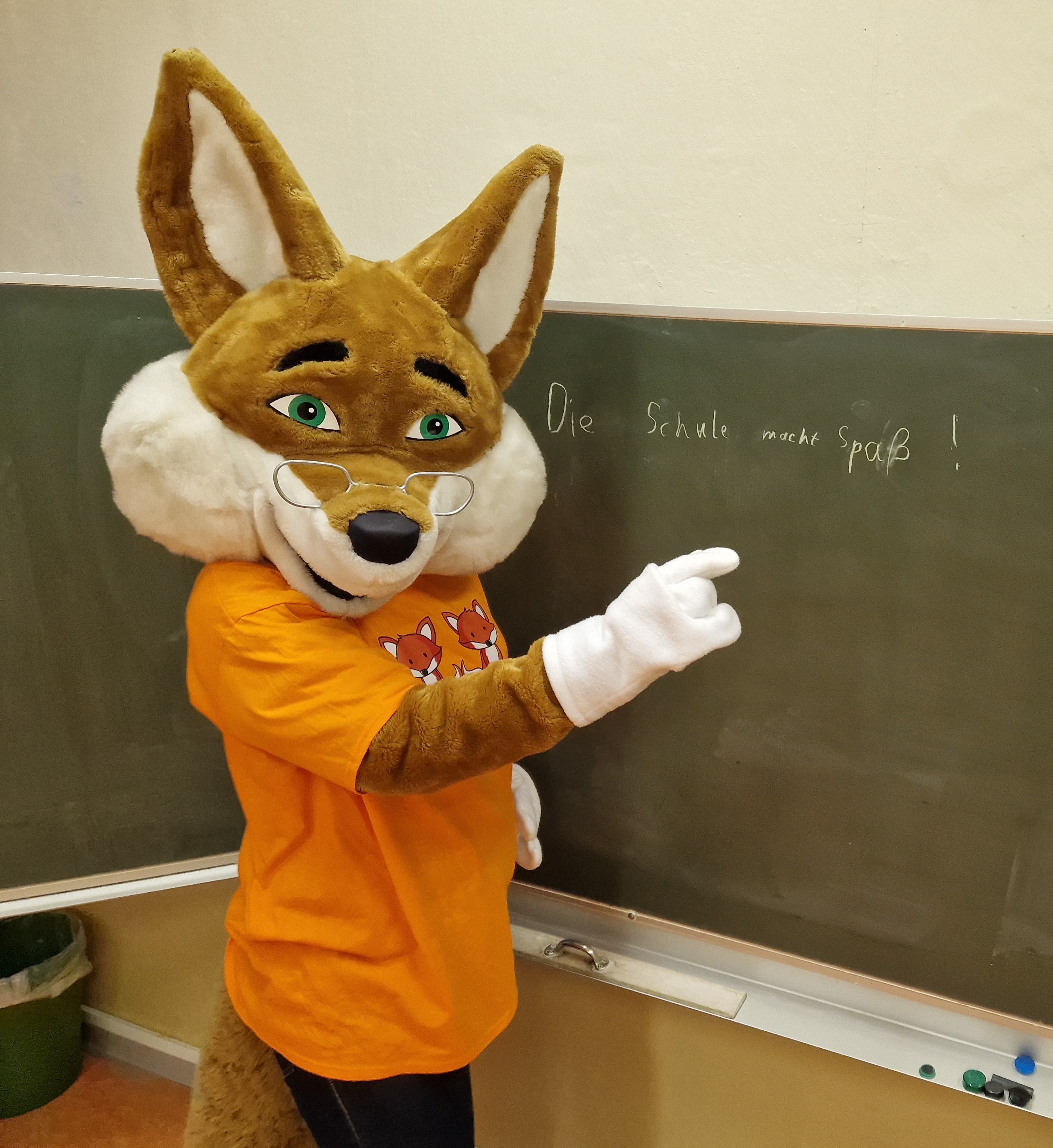 Fuchs_DieSchulemachtSpa.jpg
